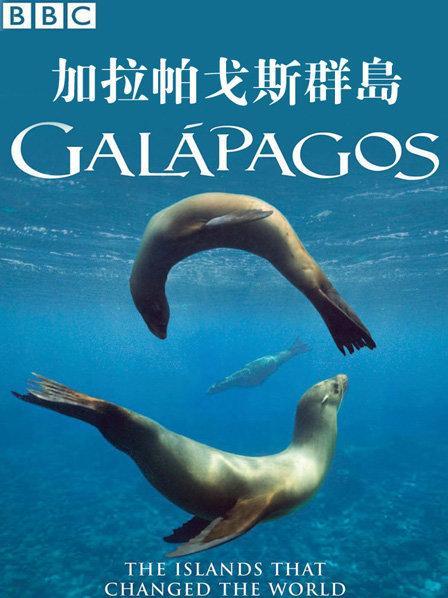 加拉帕戈斯群岛纪录片国语版