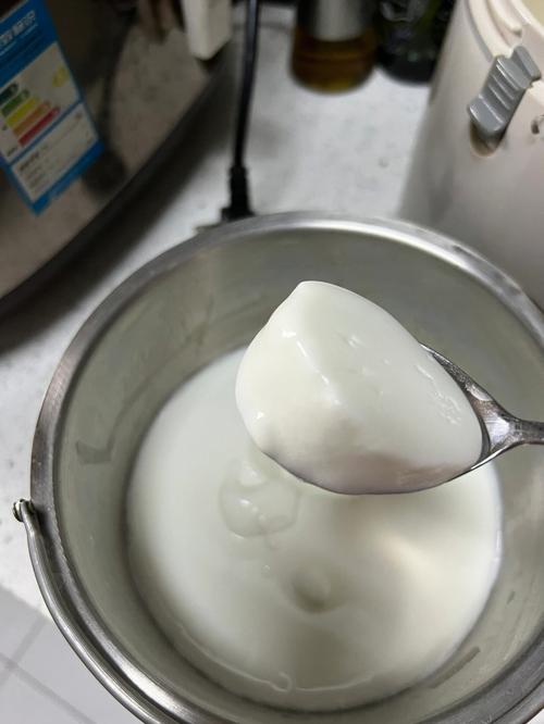 如何自制酸奶