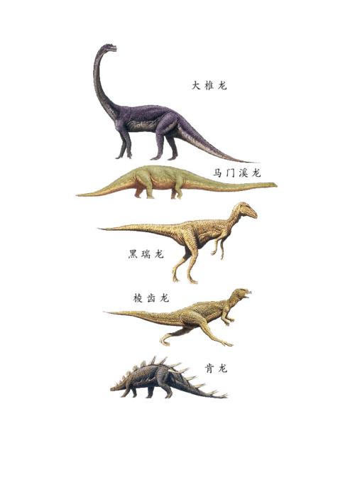 恐龙的分类