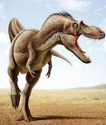 恐龙的祖先是谁照片
