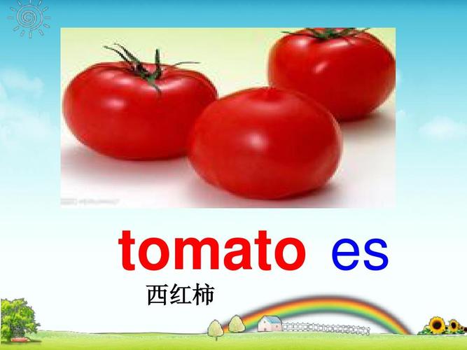 柿子的英语