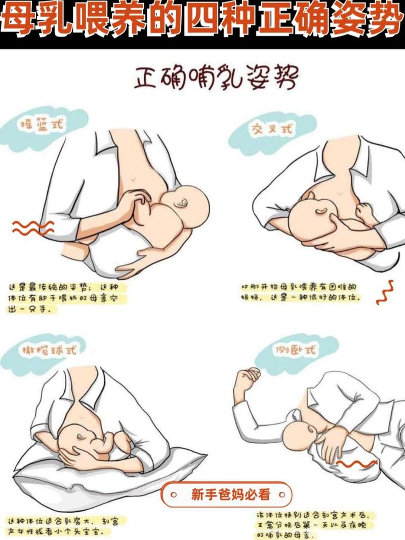 母乳喂养的姿势