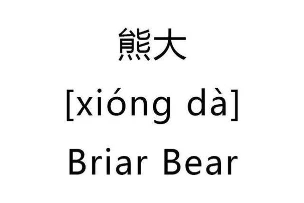 熊拼音怎么写