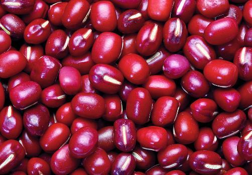 红小豆的功效与作用及食用方法