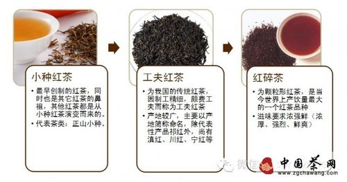 红茶的品种