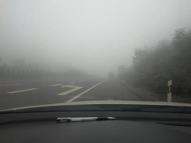 驾驶机动车在高速公路上行驶遇有雾