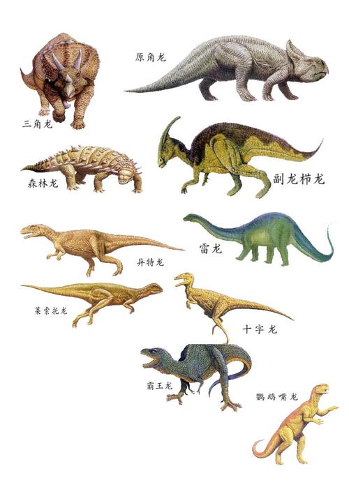 恐龙的分类的相关图片