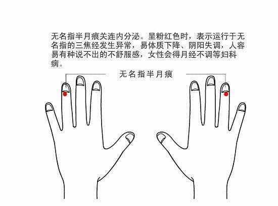 手指月牙代表什么意思的相关图片